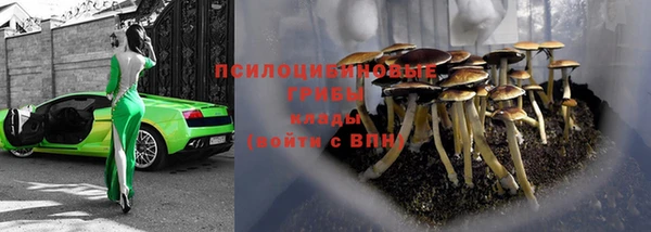 МДПВ Балахна